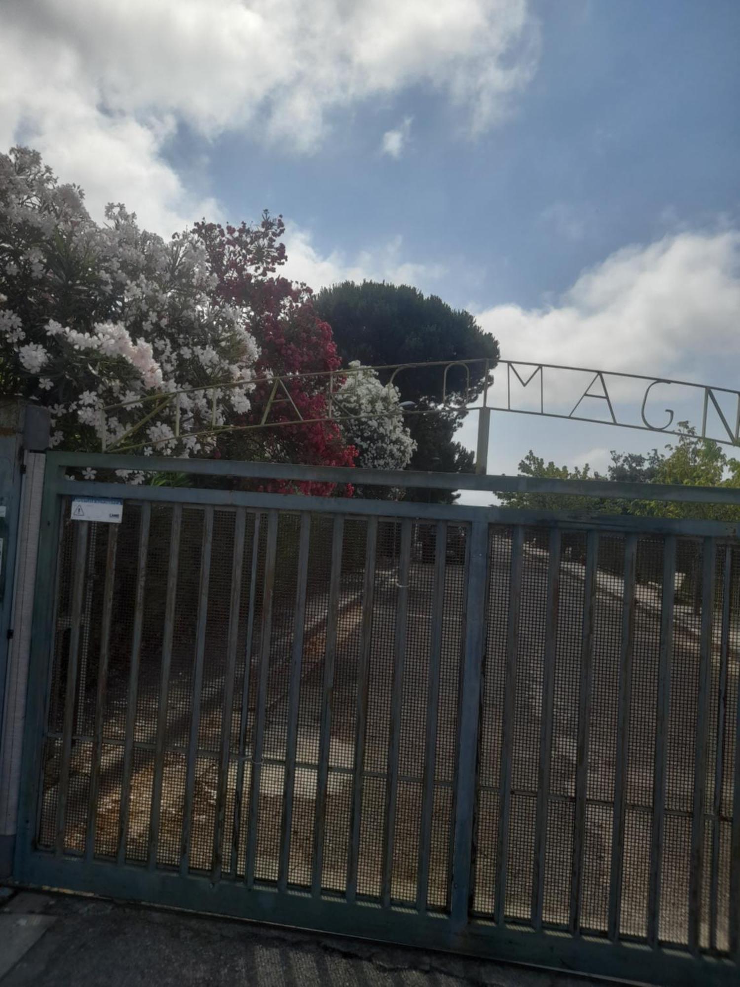 Casa Ettore San Nicola Arcella Buitenkant foto